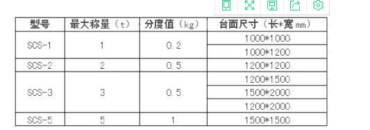 沈陽(yáng)電子衡器